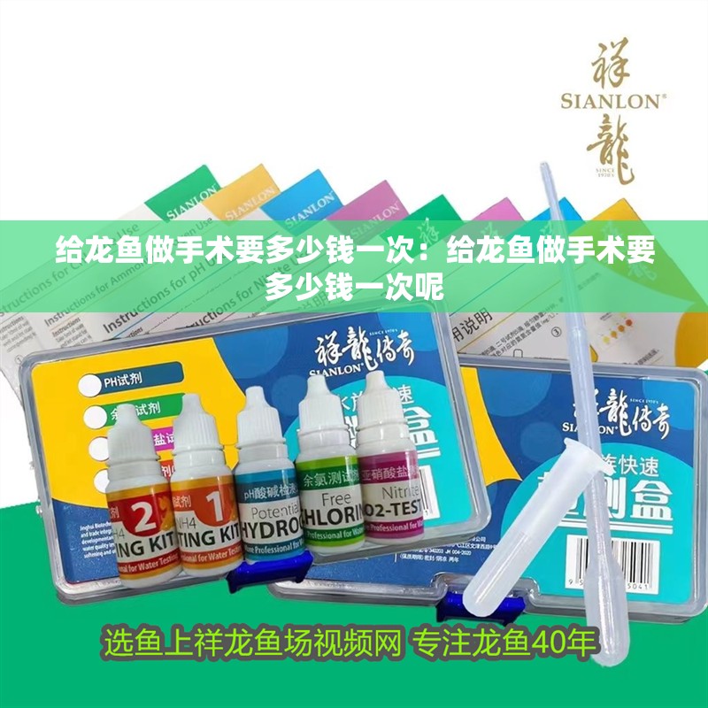 給龍魚做手術(shù)要多少錢一次：給龍魚做手術(shù)要多少錢一次呢