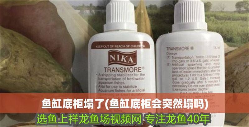 魚(yú)缸底柜塌了(魚(yú)缸底柜會(huì)突然塌嗎)