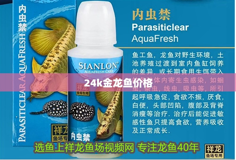 24k金龍魚價格