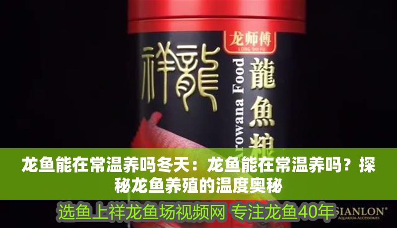 龍魚能在常溫養(yǎng)嗎冬天：龍魚能在常溫養(yǎng)嗎？探秘龍魚養(yǎng)殖的溫度奧秘