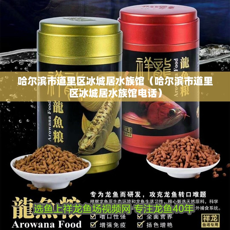 哈爾濱市道里區(qū)冰城居水族館（哈爾濱市道里區(qū)冰城居水族館電話）