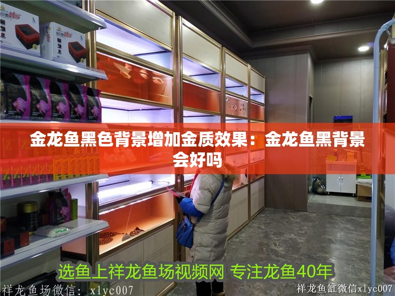 金龍魚黑色背景增加金質效果：金龍魚黑背景會好嗎