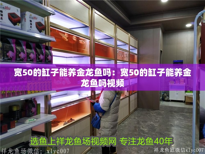 寬50的缸子能養金龍魚嗎：寬50的缸子能養金龍魚嗎視頻