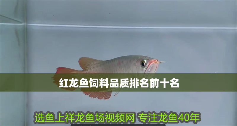 紅龍魚飼料品質(zhì)排名前十名