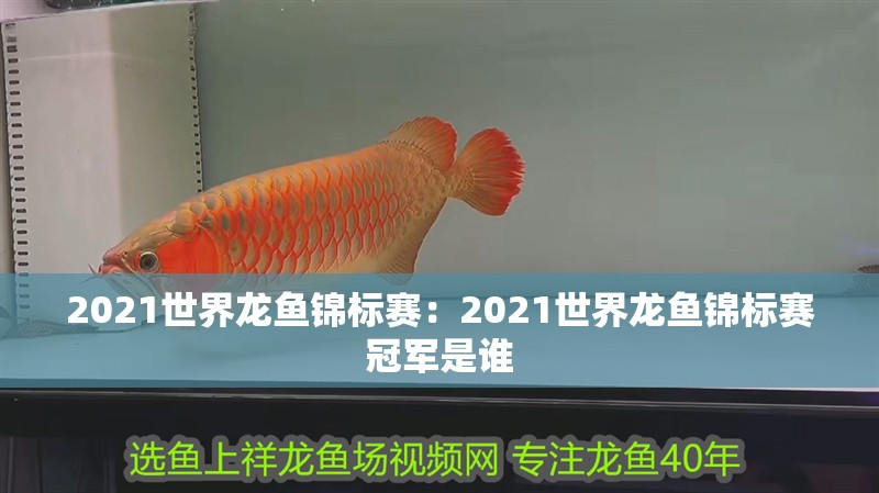 2021世界龍魚錦標賽：2021世界龍魚錦標賽冠軍是誰