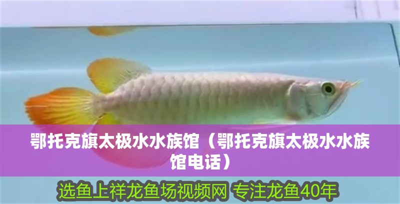 鄂托克旗太極水水族館（鄂托克旗太極水水族館電話）