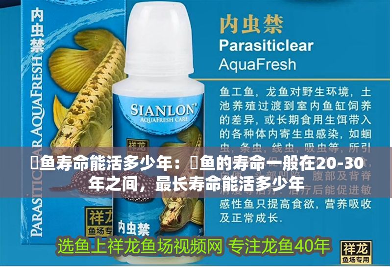 詳細(xì)閱讀:魟魚壽命能活多少年:魟魚的壽命一般在20-30年之間,最長(zhǎng)壽命能活多少年 魟魚壽命能活多少年:魟魚的壽命一般在20-30年之間,最長(zhǎng)壽命能活多少年