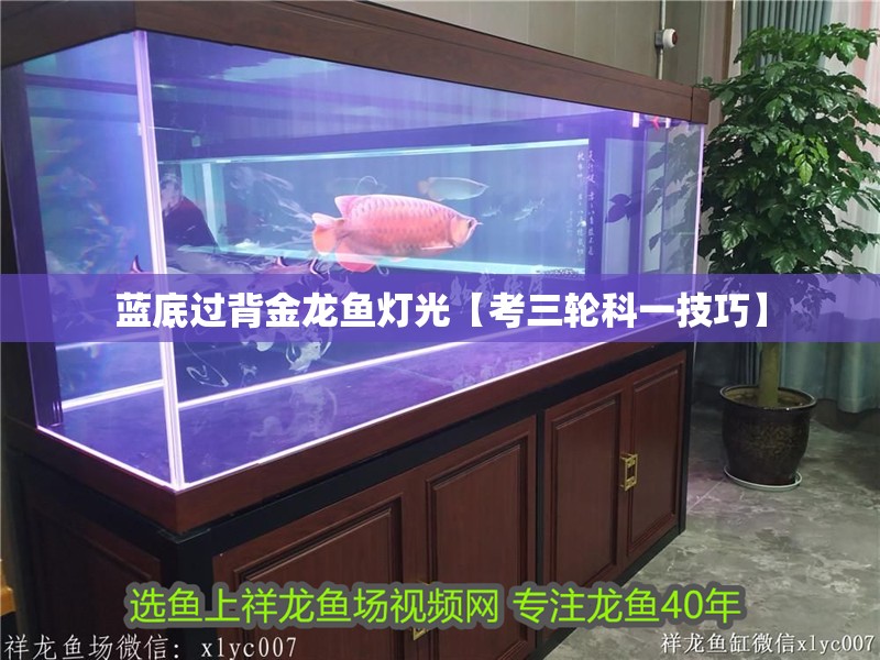 藍底過背金龍魚燈光【考三輪科一技巧】