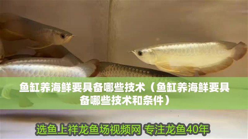 魚缸養海鮮要具備哪些技術（魚缸養海鮮要具備哪些技術和條件）