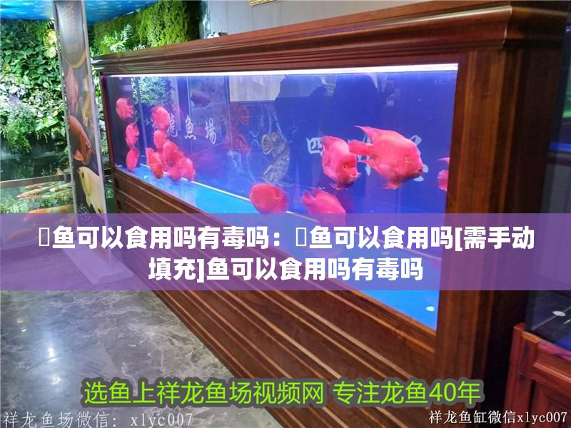 魟魚可以食用嗎有毒嗎：魟魚可以食用嗎[需手動填充]魚可以食用嗎有毒嗎
