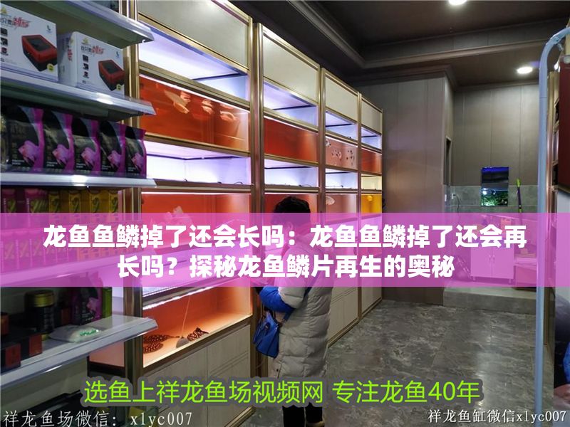 龍魚(yú)魚(yú)鱗掉了還會(huì)長(zhǎng)嗎：龍魚(yú)魚(yú)鱗掉了還會(huì)再長(zhǎng)嗎？探秘龍魚(yú)鱗片再生的奧秘