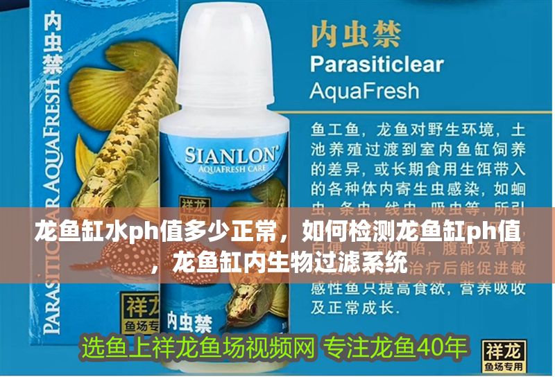 龍魚缸水ph值多少正常，如何檢測龍魚缸ph值，龍魚缸內生物過濾系統