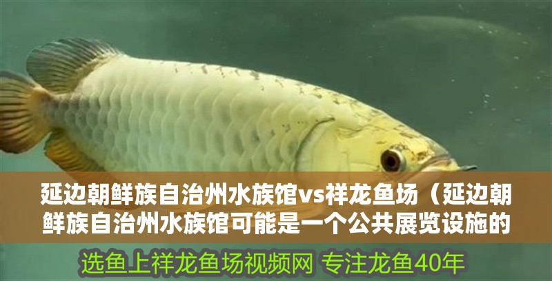 延邊朝鮮族自治州水族館vs祥龍魚場（延邊朝鮮族自治州水族館可能是一個公共展覽設施的場所） 延邊朝鮮族自治州水族館vs祥龍魚場（延邊朝鮮族自治州水族館可能是一個公共展覽設施的場所） 全國水族館企業名錄 第1張