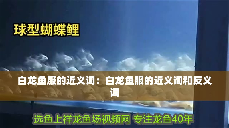 白龍魚服的近義詞：白龍魚服的近義詞和反義詞