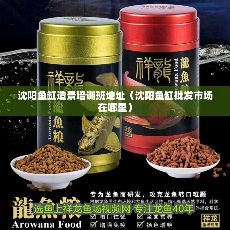 沈陽魚缸造景培訓班地址（沈陽魚缸批發市場在哪里） 沈陽魚缸造景培訓班地址（沈陽魚缸批發市場在哪里） 龍魚百科 第1張