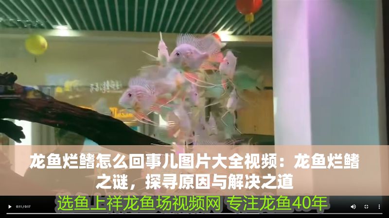 龍魚爛鰭怎么回事兒圖片大全視頻：龍魚爛鰭之謎，探尋原因與解決之道