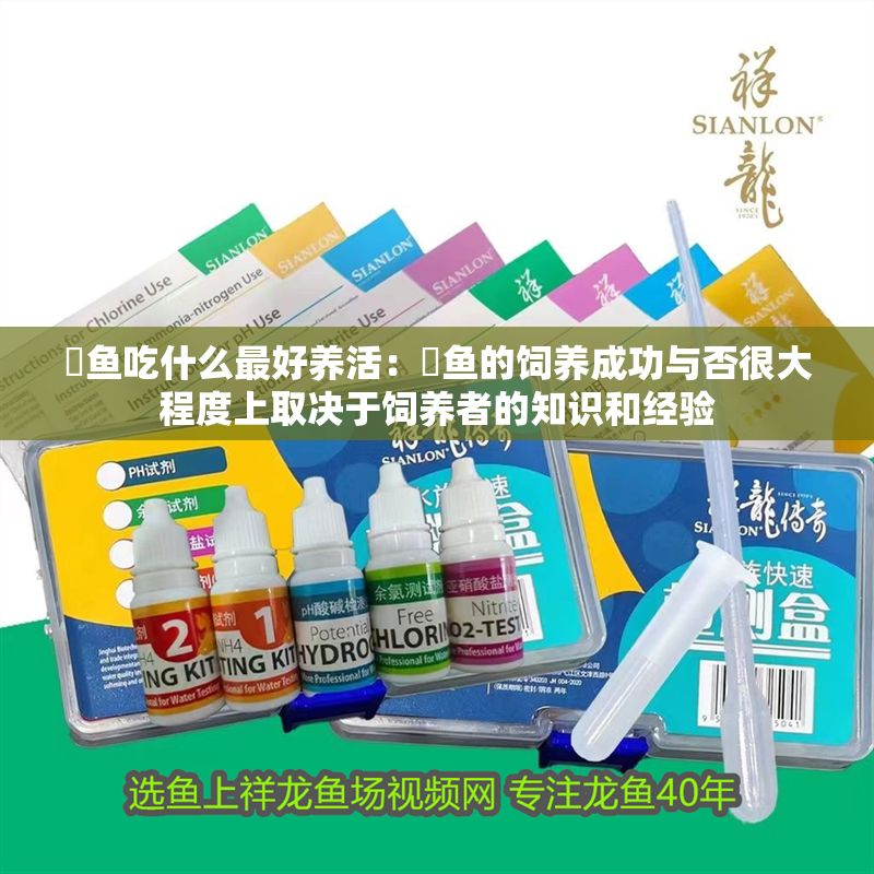 魟魚吃什么最好養(yǎng)活：魟魚的飼養(yǎng)成功與否很大程度上取決于飼養(yǎng)者的知識(shí)和經(jīng)驗(yàn)