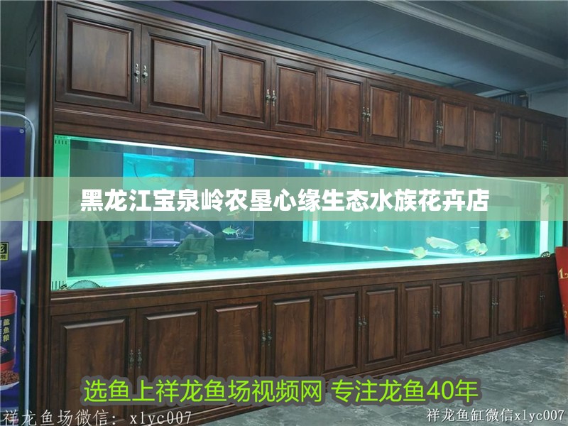 黑龍江寶泉嶺農(nóng)墾心緣生態(tài)水族花卉店 全國(guó)水族館企業(yè)名錄 第2張 黑龍江寶泉嶺農(nóng)墾心緣生態(tài)水族花卉店 黑龍江寶泉嶺農(nóng)墾心緣生態(tài)水族花卉店 全國(guó)水族館企業(yè)名錄 第2張