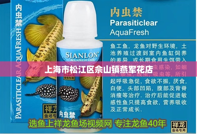 上海市松江區(qū)佘山鎮(zhèn)燕軍花店