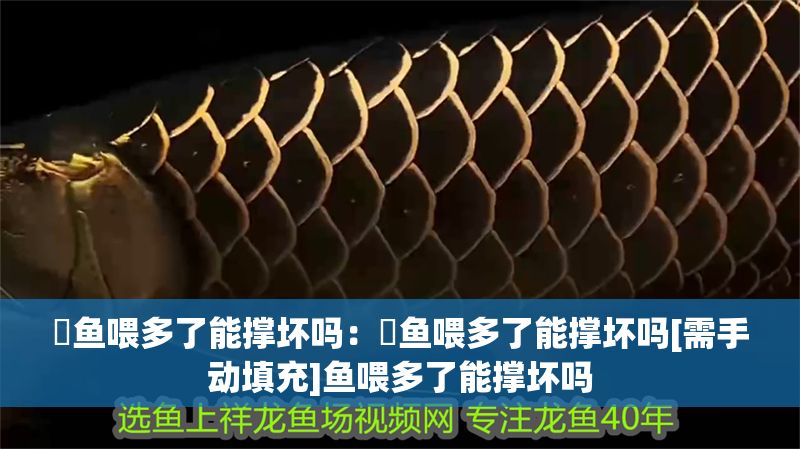 魟魚喂多了能撐壞嗎：魟魚喂多了能撐壞嗎[需手動填充]魚喂多了能撐壞嗎