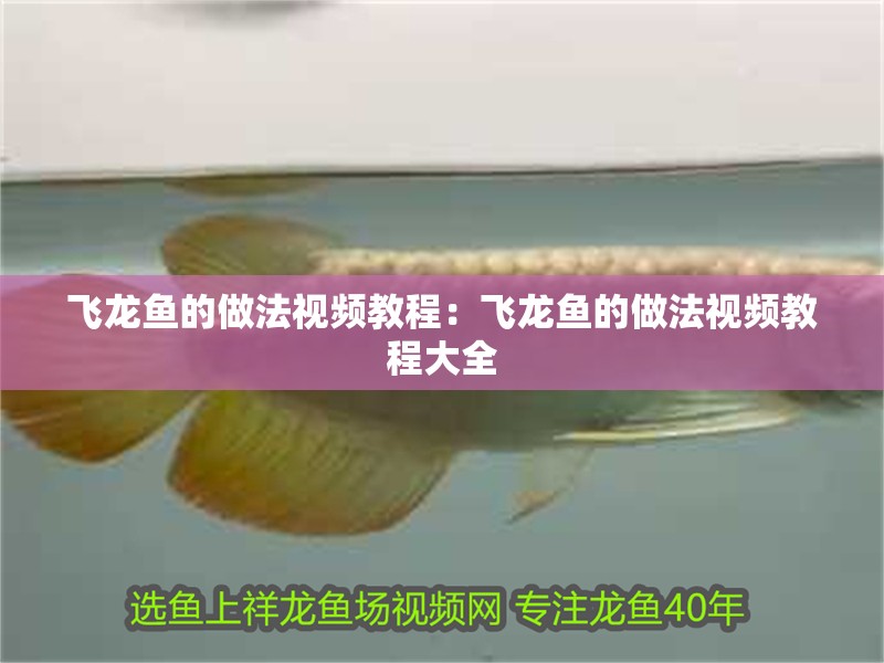 飛龍魚的做法視頻教程：飛龍魚的做法視頻教程大全