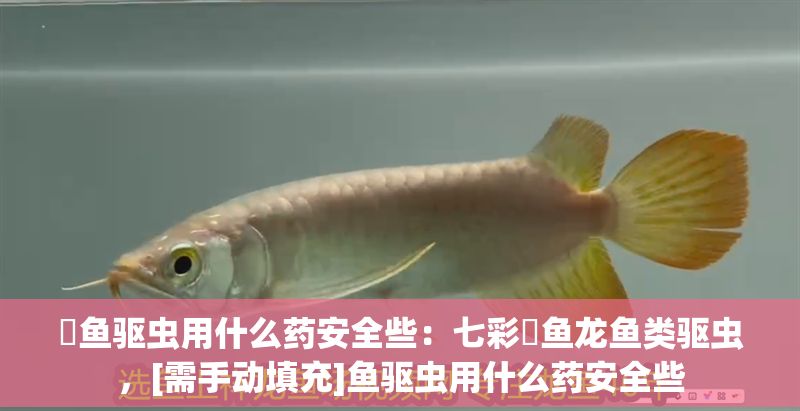 魟魚驅蟲用什么藥安全些：七彩魟魚龍魚類驅蟲，[需手動填充]魚驅蟲用什么藥安全些