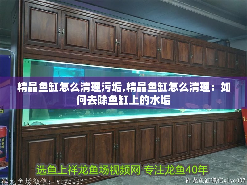 精晶魚缸怎么清理污垢,精晶魚缸怎么清理：如何去除魚缸上的水垢