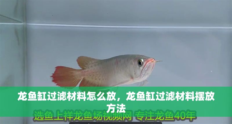 龍魚缸過濾材料怎么放，龍魚缸過濾材料擺放方法