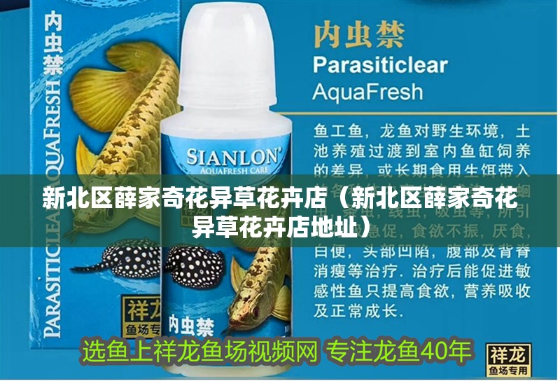 新北區(qū)薛家奇花異草花卉店（新北區(qū)薛家奇花異草花卉店地址）