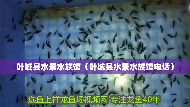 葉城縣水景水族館（葉城縣水景水族館電話）