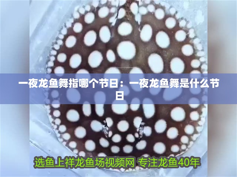 一夜龍魚舞指哪個節日：一夜龍魚舞是什么節日