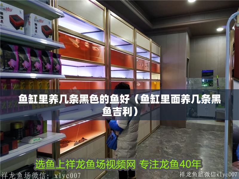 魚缸里養幾條黑色的魚好（魚缸里面養幾條黑魚吉利）
