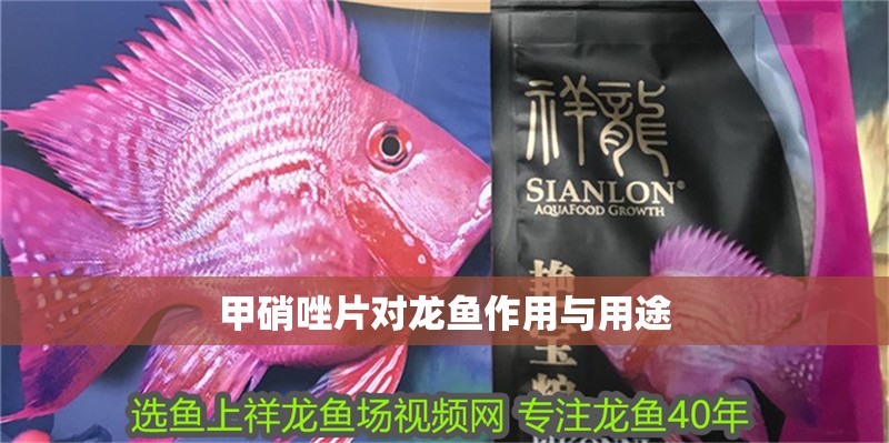 甲硝唑片對龍魚作用與用途