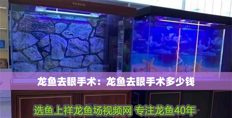 龍魚去眼手術：龍魚去眼手術多少錢