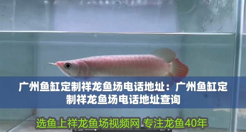 印尼曼特寧咖啡豆(印尼曼特寧咖啡豆品牌)