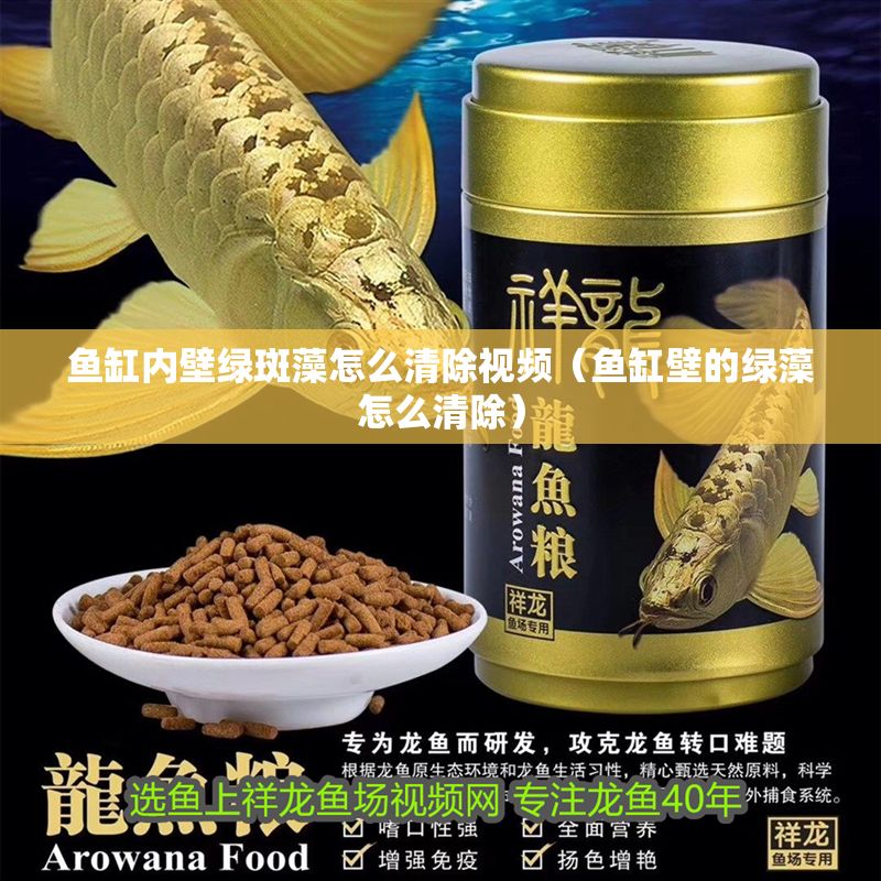 魚缸內壁綠斑藻怎么清除視頻（魚缸壁的綠藻怎么清除）