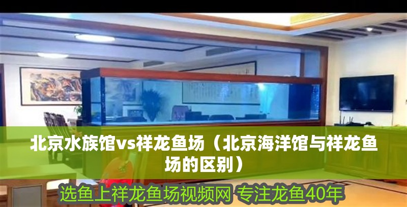 <strong><mark>北京</mark></strong>水族館vs祥龍魚(yú)場(chǎng)（<strong><mark>北京</mark></strong>海洋館與祥龍魚(yú)場(chǎng)的區(qū)別）