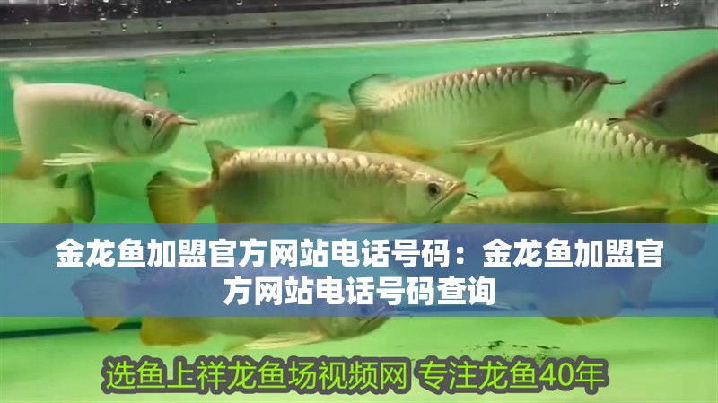 金龍魚加盟官方網(wǎng)站電話號碼：金龍魚加盟官方網(wǎng)站電話號碼查詢