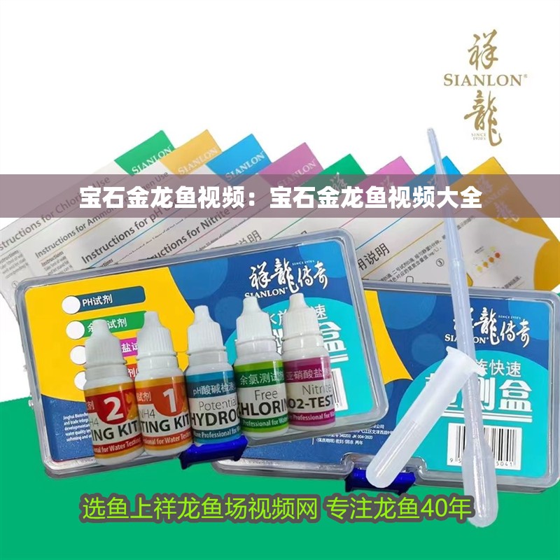 寶石金龍魚視頻:寶石金龍魚視頻大全 水族問答 寶石金龍魚視頻:寶石金龍魚視頻大全 寶石金龍魚視頻:寶石金龍魚視頻大全 水族問答