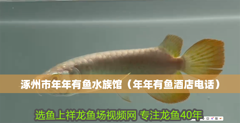 涿州市年年有魚水族館（年年有魚酒店電話）
