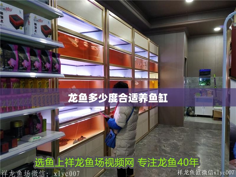 龍魚多少度合適養魚缸