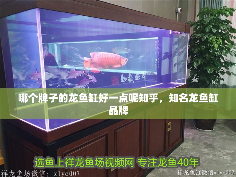 哪個牌子的龍魚缸好一點(diǎn)呢知乎，知名龍魚缸品牌