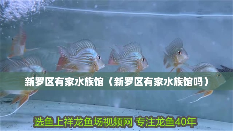 新羅區(qū)有家水族館（新羅區(qū)有家水族館嗎）