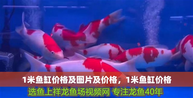 1米魚缸價格及圖片及價格，1米魚缸價格