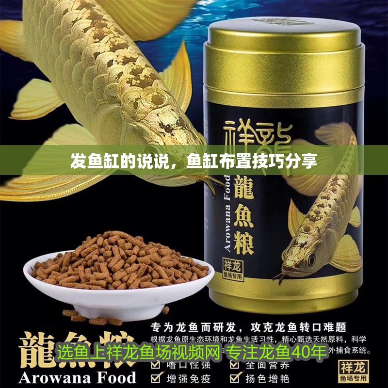 發魚缸的說說，魚缸布置技巧分享 發魚缸的說說，魚缸布置技巧分享 魚缸百科 第2張