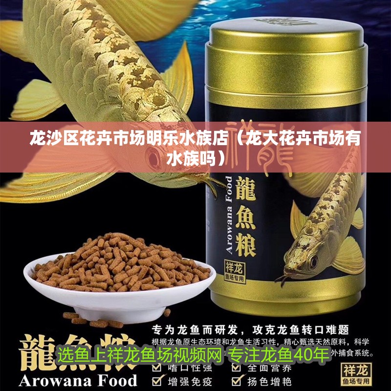 龍沙區(qū)花卉市場(chǎng)明樂水族店（龍大花卉市場(chǎng)有水族嗎）