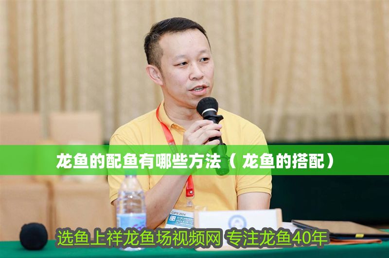 龍魚的配魚有哪些方法（ 龍魚的搭配）