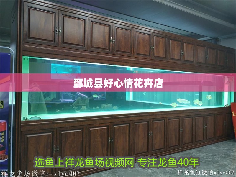 鄄城縣好心情花卉店