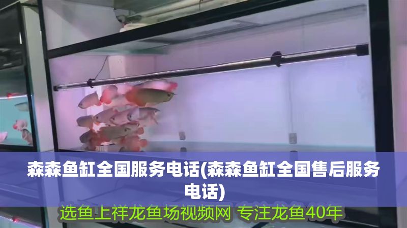 森森魚缸全國服務電話(森森魚缸全國售后服務電話)