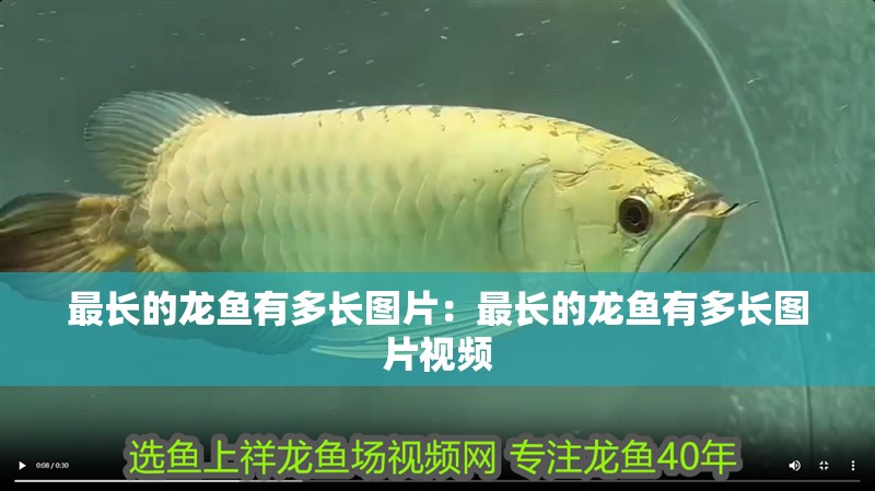 6030的魚缸需要多少水草泥：60 6030的魚缸需要多少水草泥：60 魚缸百科